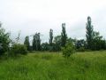 1192359407 sport gorod