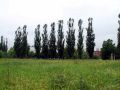 1192359446 stadium 2
